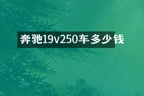 奔驰19v250车多少钱