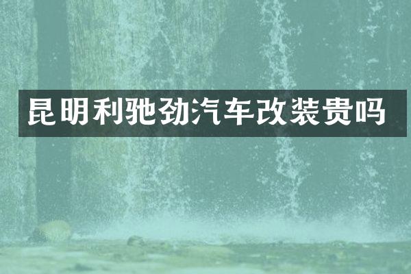 昆明利驰劲汽车改装贵吗