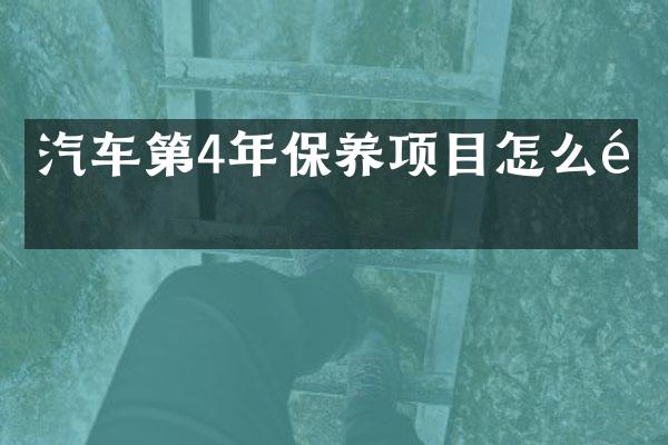 汽车第4年保养项目怎么选