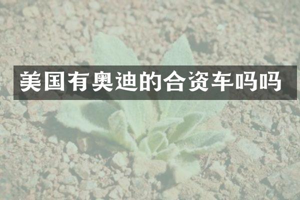 美国有奥迪的合资车吗吗