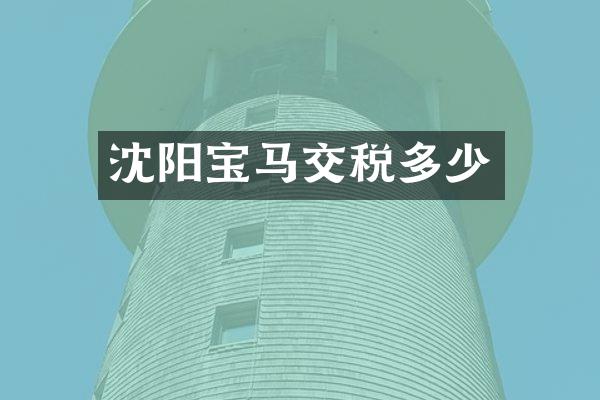 沈阳宝马交税多少
