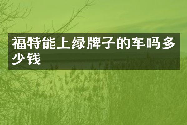 福特能上绿牌子的车吗多少钱