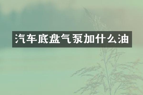 汽车底盘气泵加什么油