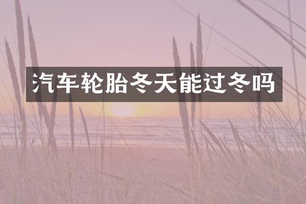 汽车轮胎冬天能过冬吗