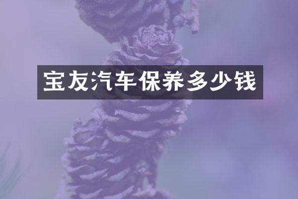 宝友汽车保养多少钱