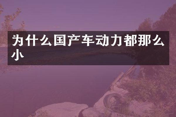为什么国产车动力都那么小