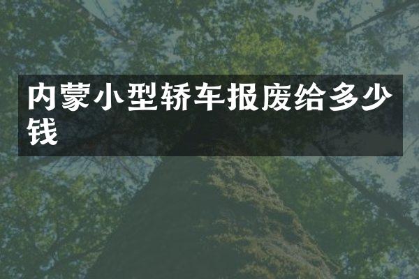 内蒙小型轿车报废给多少钱