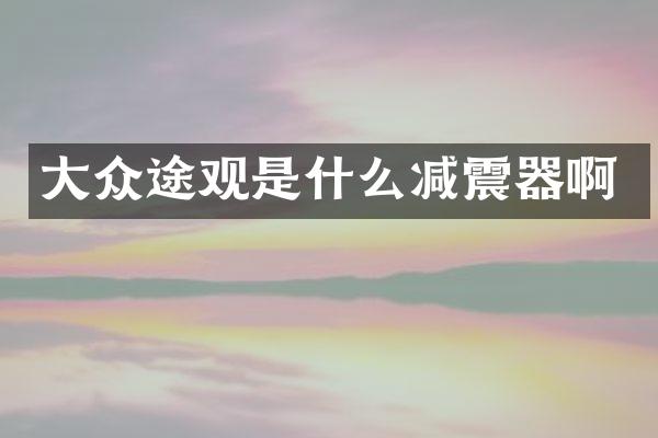 大众途观是什么减震器啊