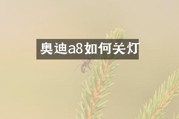 奥迪a8如何关灯