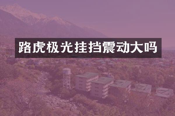 路虎极光挂挡震动大吗