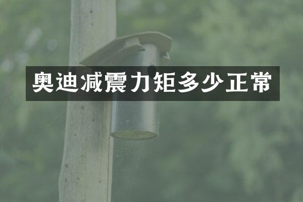 奥迪减震力矩多少正常