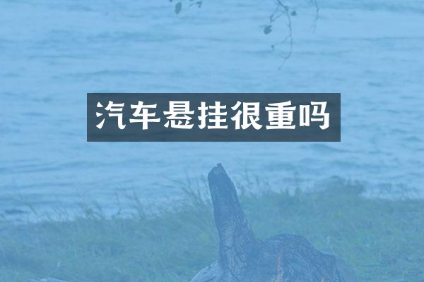 汽车悬挂很重吗