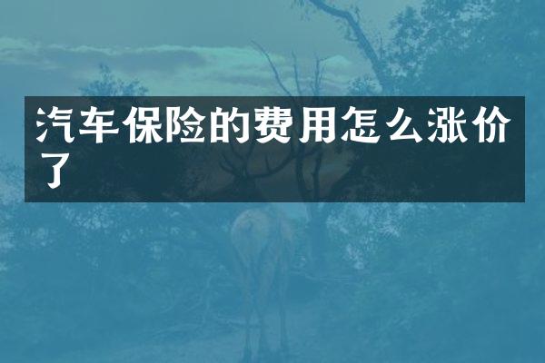 汽车保险的费用怎么涨价了