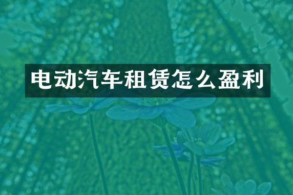 电动汽车租赁怎么盈利