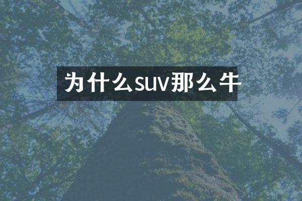 为什么suv那么牛
