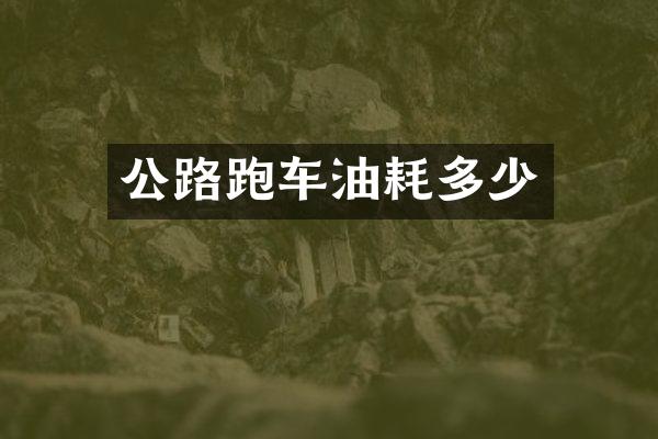 公路跑车油耗多少