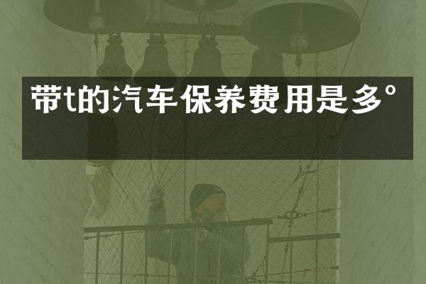 带t的汽车保养费用是多少
