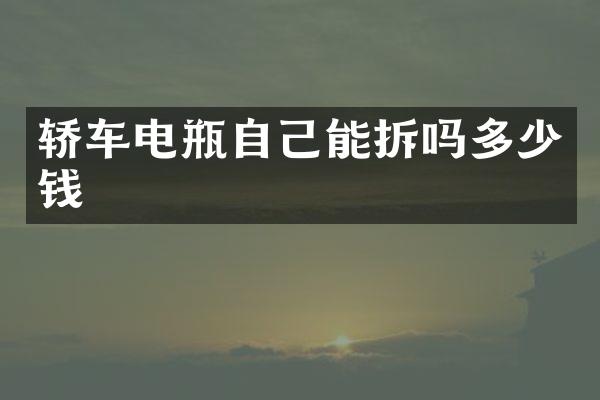 轿车电瓶自己能拆吗多少钱