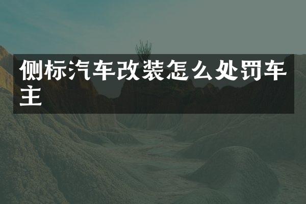 侧标汽车改装怎么处罚车主