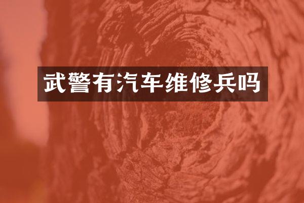 武警有汽车维修兵吗