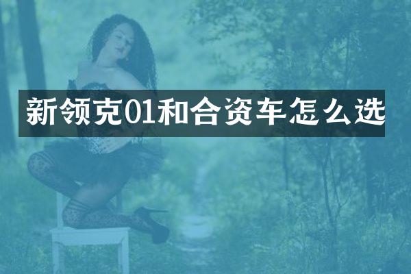 新领克01和合资车怎么选