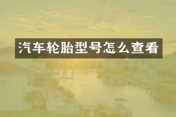 汽车轮胎型号怎么查看