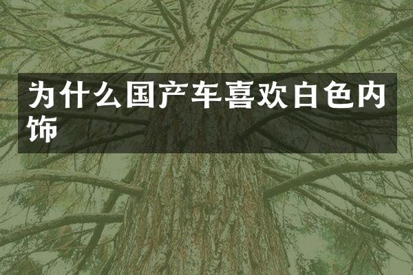 为什么国产车喜欢白色内饰