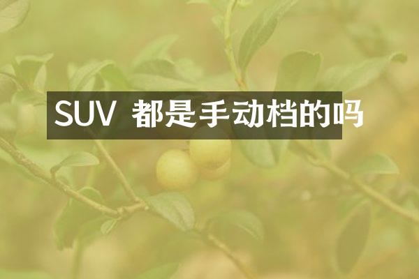 SUV 都是手动档的吗