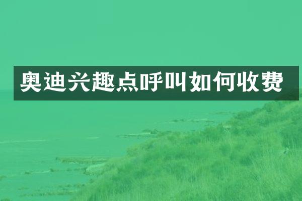 奥迪兴趣点呼叫如何收费
