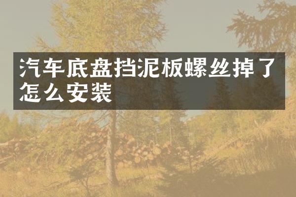 汽车底盘挡泥板螺丝掉了怎么安装