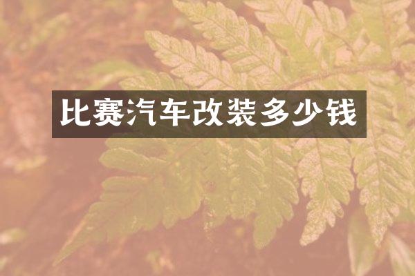 比赛汽车改装多少钱