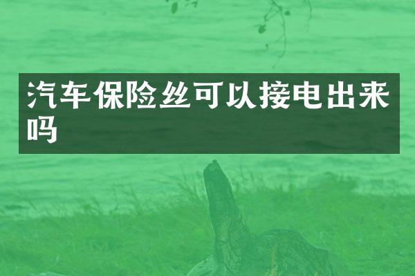 汽车保险丝可以接电出来吗