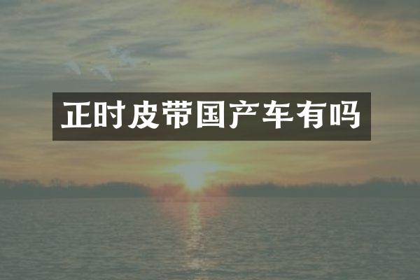正时皮带国产车有吗