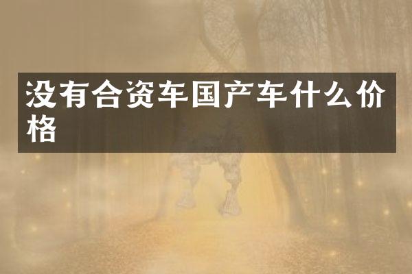 没有合资车国产车什么价格