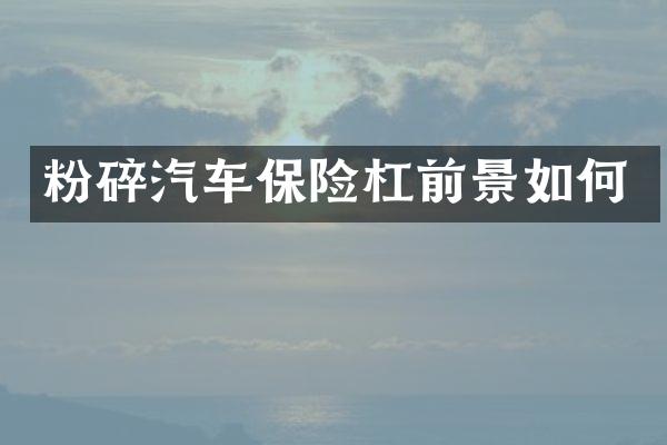 粉碎汽车保险杠前景如何