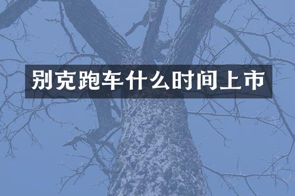 别克跑车什么时间上市