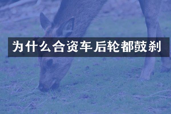 为什么合资车后轮都鼓刹