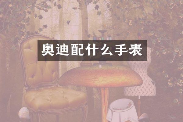 奥迪配什么手表