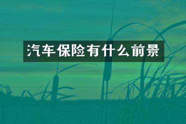汽车保险有什么前景