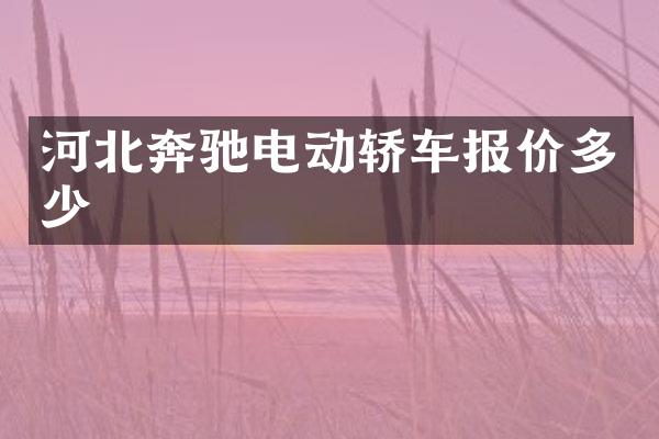 河北奔驰电动轿车报价多少