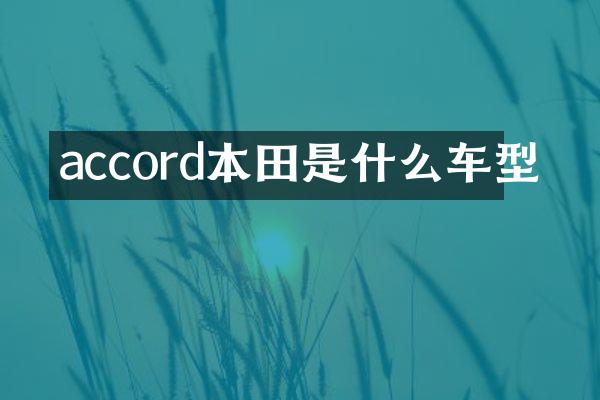 accord本田是什么车型