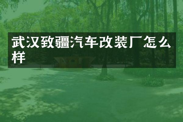 武汉致疆汽车改装厂怎么样