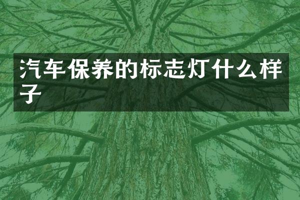 汽车保养的标志灯什么样子