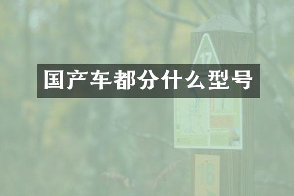 国产车都分什么型号