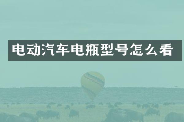 电动汽车电瓶型号怎么看