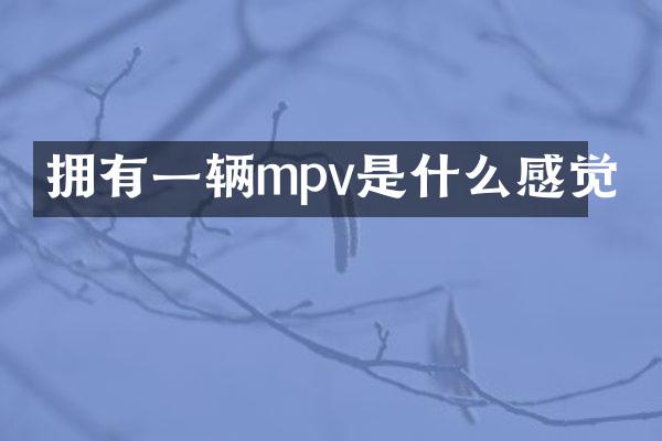 拥有一辆mpv是什么感觉