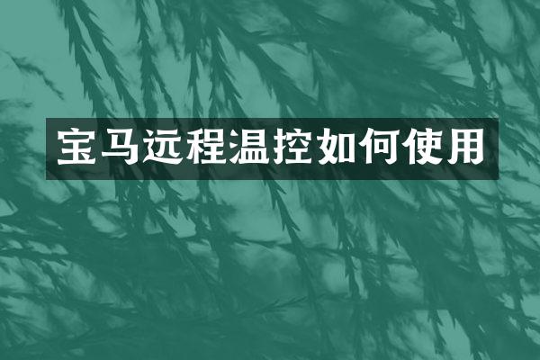 宝马远程温控如何使用