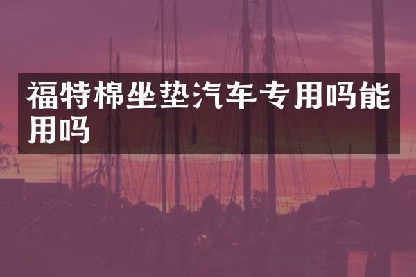 福特棉坐垫汽车专用吗能用吗