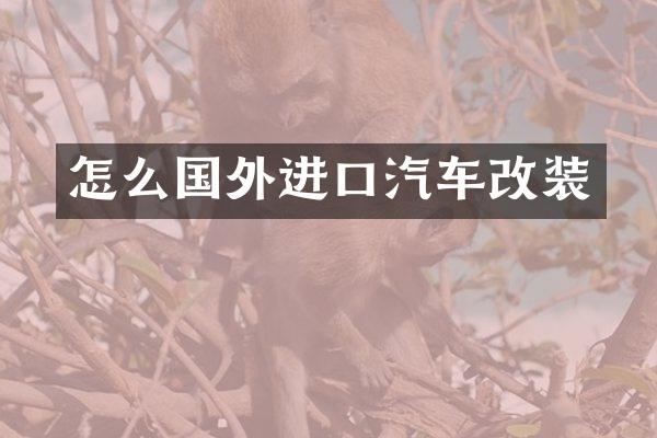 怎么国外进口汽车改装