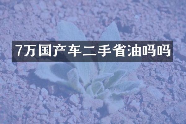 7万国产车二手省油吗吗